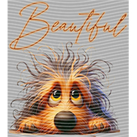 Animal Integration-DW 2314